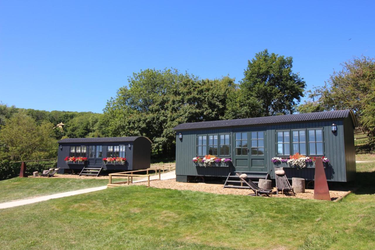 Hog Deer Creek - At Port Lympne Reserve Exterior photo